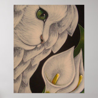PÓSTER GATO DE ÁNGEL BLANCO CON POSTER DE FLORES DE CALLA