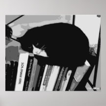Gato de biblioteca