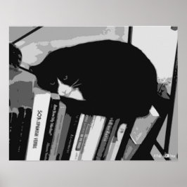 Póster Gato de biblioteca