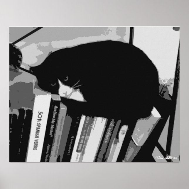 Póster Gato de biblioteca (Frente)