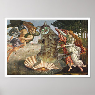 Póster Gato de Botticelli