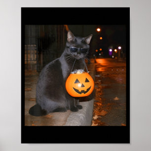 Póster Gato de calabaza divertido meme truco o trato hall
