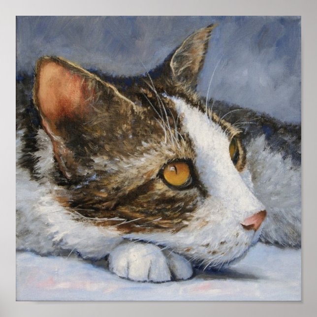 Póster Gato de Calico con retrato de ojos amarillos (Frente)