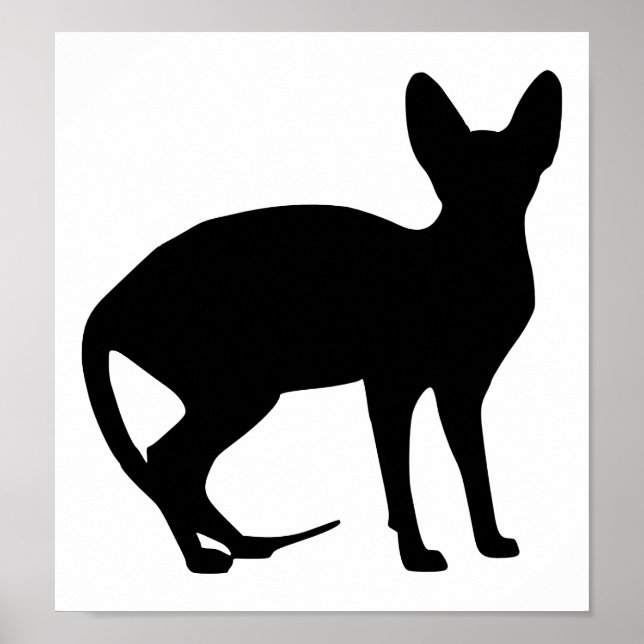 Póster Gato de esfinge (Frente)