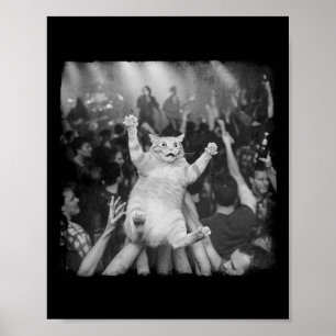Póster Gato de espectáculo de rock meme humor divertido g