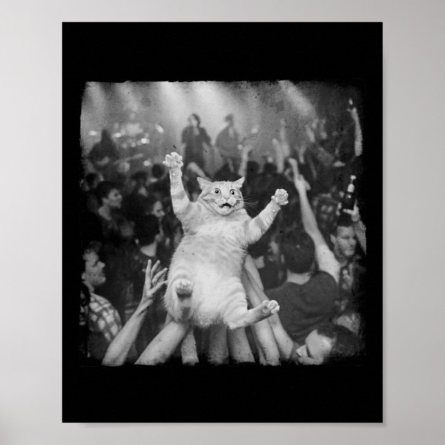 Póster Gato de espectáculo de rock meme humor divertido g (Frente)