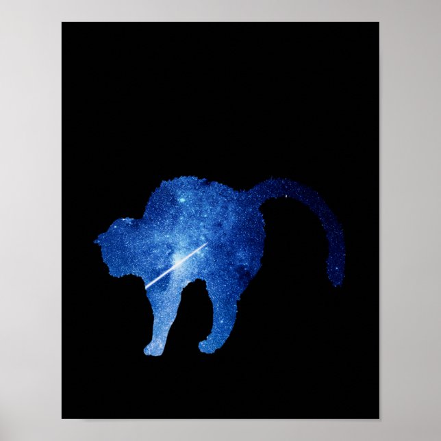 Póster Gato de estrella de tiro azul estrellado (Frente)