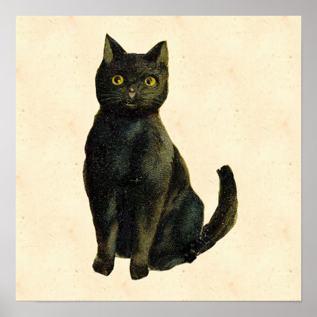 Póster Gato de Halloween vintage (Frente)