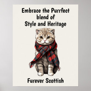 Póster Gato de hueso escocés