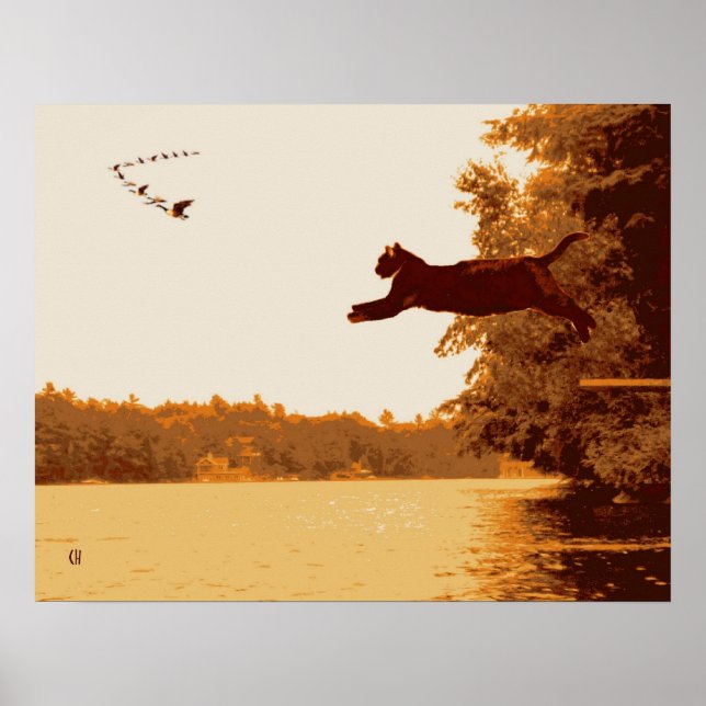 Póster Gato de inspiración (Frente)