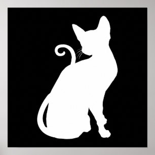 Póster Gato de la Casa Blanca