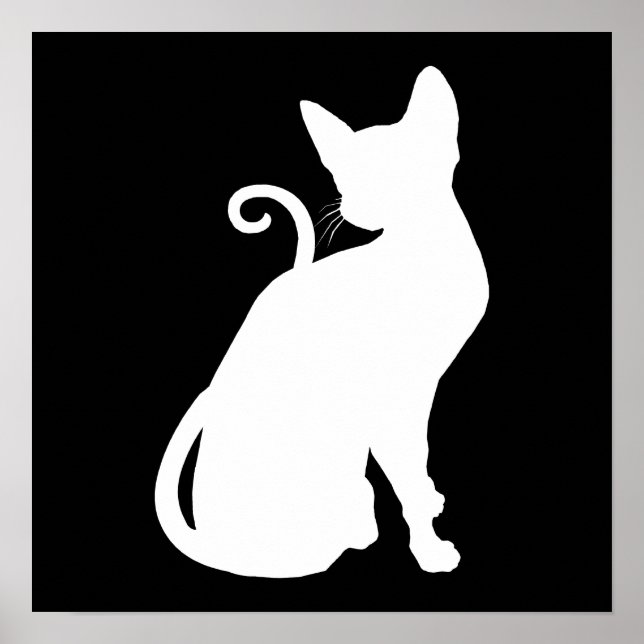 Póster Gato de la Casa Blanca (Frente)