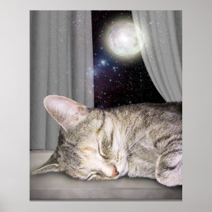 Póster Gato de la Luna