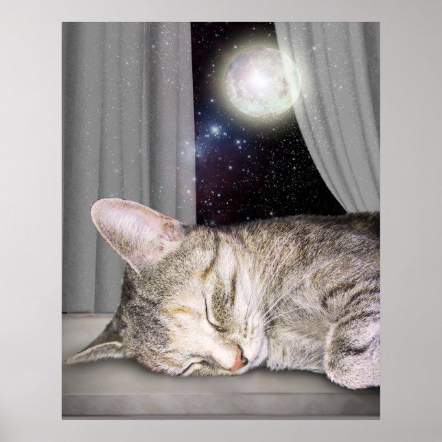 Póster Gato de la Luna (Frente)