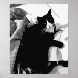 Póster Gato de lavado