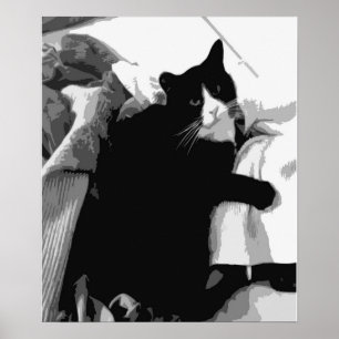 Póster Gato de lavado