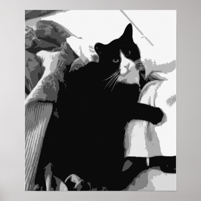 Póster Gato de lavado (Frente)