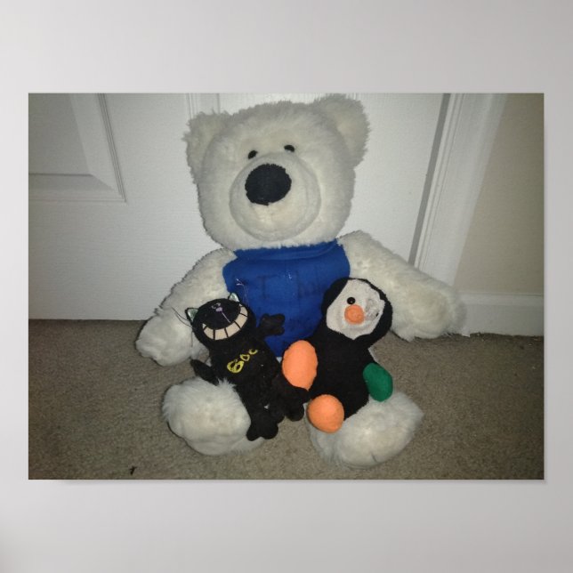 Póster Gato De Mal Sueño, Arquero Y Polorato (Frente)