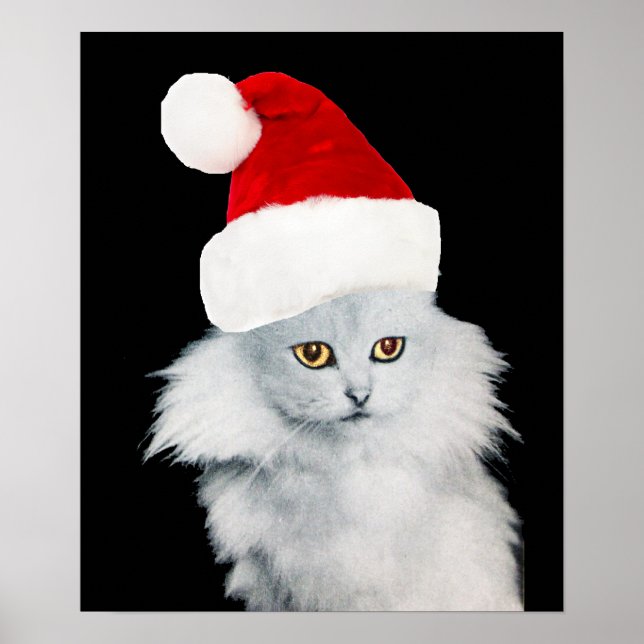 PÓSTER GATO DE NAVIDADES BLANCOS CON GORRA DE SANTA CLAUS (Frente)