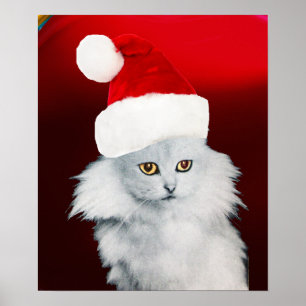 PÓSTER GATO DE NAVIDADES BLANCOS CON GORRA DE SANTA CLAUS