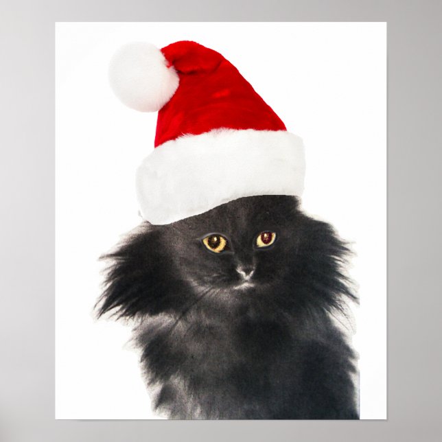 PÓSTER GATO DE NAVIDADES NEGROS CON GORRA DE SANTA CLAUS (Frente)