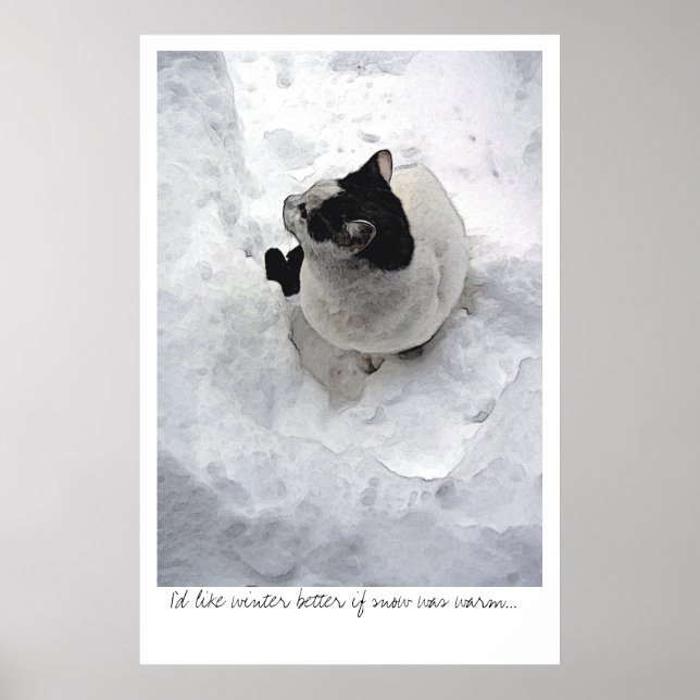 Póster Gato de nieve (Frente)