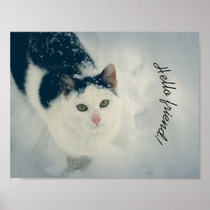 Póster Gato de nieve