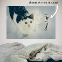 Gato de nieve