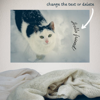 Póster Gato de nieve