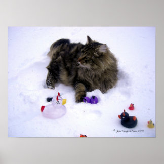Póster Gato de nieve feroz
