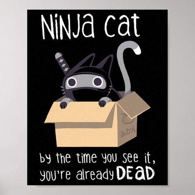 Póster Gato de Ninja (Frente)