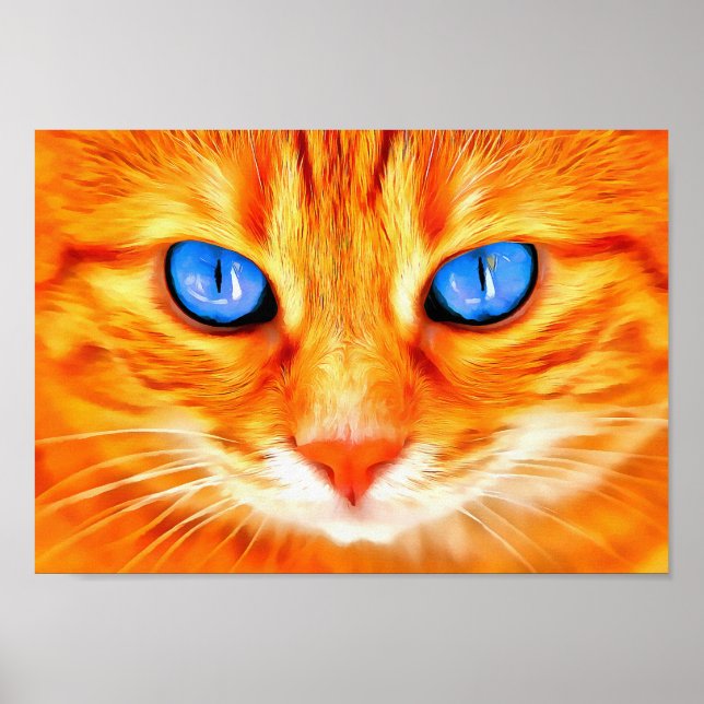 Póster Gato de ojos azules (Frente)
