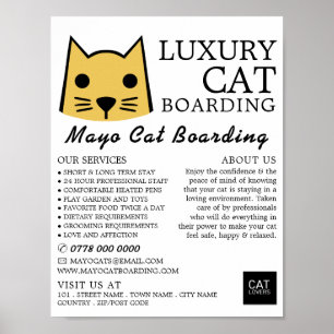 Póster Gato de oro, abordaje para gatos, publicidad de ca