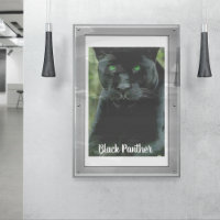 Gato de pantera negra deslumbrante con ojos verdes