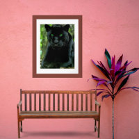 Gato de pantera negra deslumbrante con ojos verdes