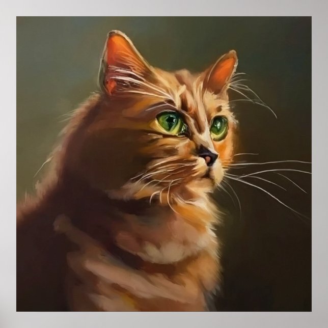 Póster Gato de pelo largo americano (Frente)