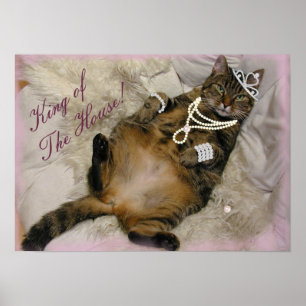 PÓSTER GATO DE PRINCESA ESPOLLADO RETIRANDO EN LA ESPALDA