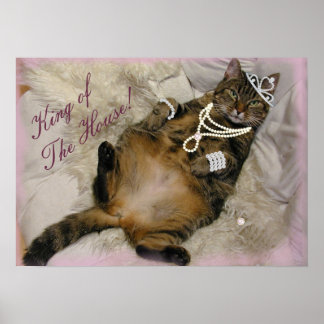 PÓSTER GATO DE PRINCESA ESPOLLADO RETIRANDO EN LA ESPALDA