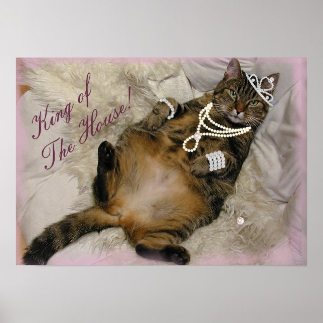 PÓSTER GATO DE PRINCESA ESPOLLADO RETIRANDO EN LA ESPALDA (Frente)