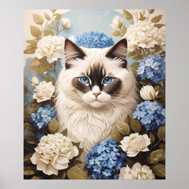 Póster Gato De Ragdoll Con Flores De Hidrangea Azul (Frente)