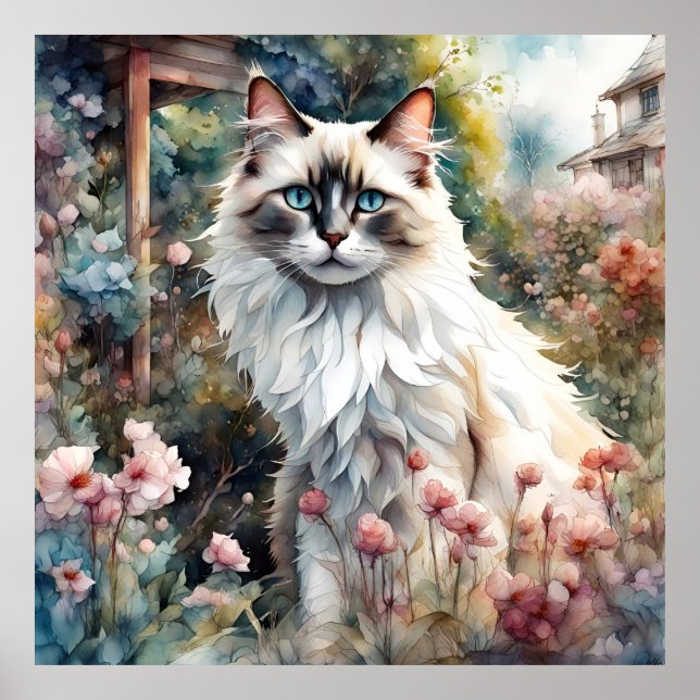 Póster Gato de Ragdoll en un jardín inglés (Frente)