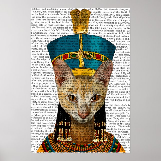 Póster Gato de reina egipcio (Frente)
