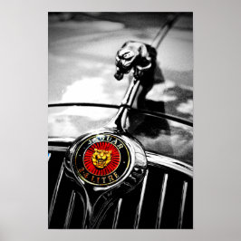 Póster Gato de Salto de Jaguar Leaper