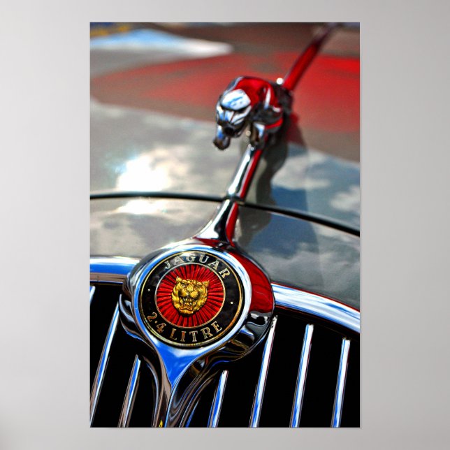 Póster Gato de Salto de Jaguar Leaper (Frente)