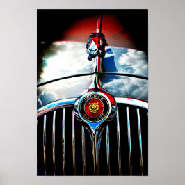 Póster Gato de Salto de Jaguar Leaper