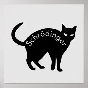 Póster Gato de Schrödinger