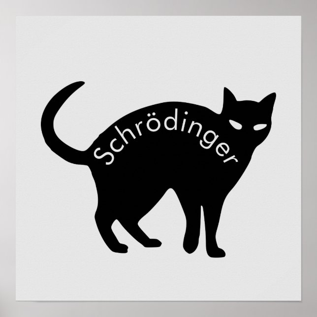 Póster Gato de Schrödinger (Frente)