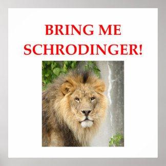 Póster gato de schrodinger