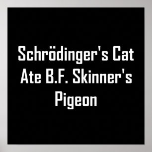 Póster Gato de Schrodinger Ate B.F. Skinner