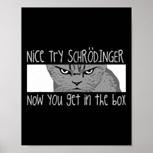 Póster Gato de Schrodinger - Físico
